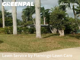 Lawn Cutting in Fort Myers, 33901, Turf Services by Flamingo Lawn Care, work completed in Nov , 2025