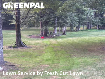 Lawn Mowing nearby Colfax, NC, 