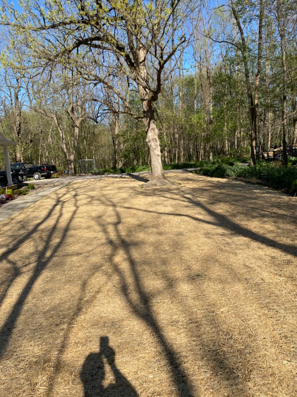 M&M Lawn Care Lawn Care Services in Evansville, WI