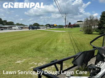 Lawn Care nearby Bowdon, GA, 