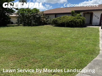 Grass Cutting nearby Cape Coral, FL, 