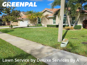 Lawn Cutin Plantation,33322,Yard Mowing by Deluxe Services By A, work completed in Jan , 2026