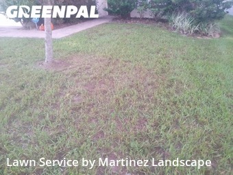 Landscaping Maintenance in Groveland, 34736, Yard Management by Martinez Landscape, work completed in Nov , 2025