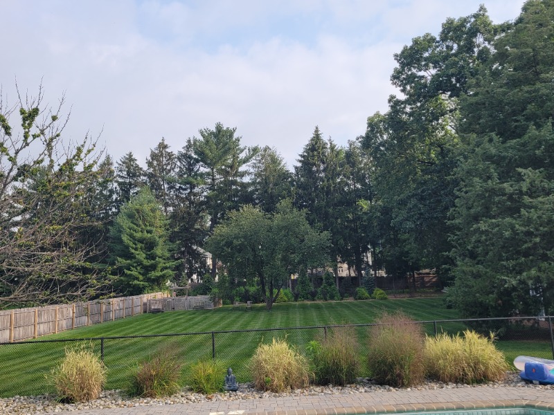 Deesign Landscape Lawn Care Services in Ellendale, DE