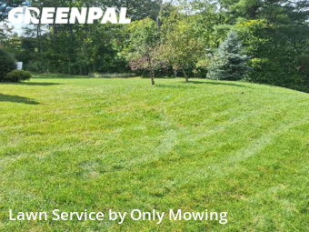 Lawn Service nearby Niskayuna, NY, 
