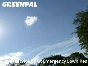 Grass Cutting nearby Mc Kinney, TX, 