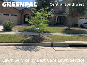 Yard Cutting nearby Houston, TX, 
