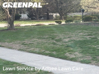 Grass Cut nearby Champaign, IL, 