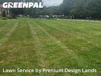 Lawn Mow nearby Painesville, OH, 