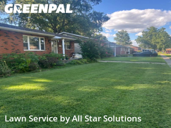 Lawn Carein Granite City,62040,Grass Cut by All Star Solutions, work completed in Jan , 2026