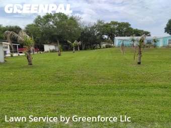 Lawn mowed in Palm City, 34990
