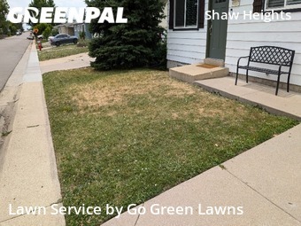 Lawn Maintenance nearby Westminster, CO, 