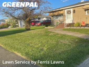 Lawn Cutting nearby Buffalo, NY, 