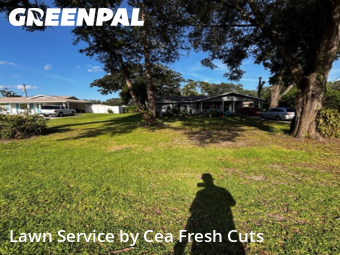 Yard Mowing nearby Ocala, FL, 