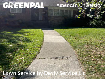 Grass Cut nearby Washington, MD, 