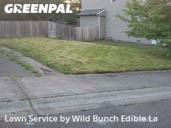 Yard Mowing nearby Lacey, WA, 