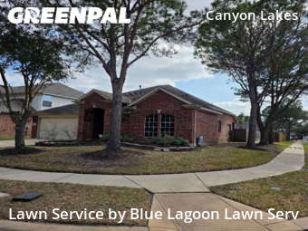 Lawn mowed in Houston, 77095