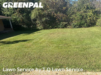 Grass Cut nearby Ridgeland, MS, 