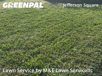 Lawn Cut nearby Northglenn, CO, 
