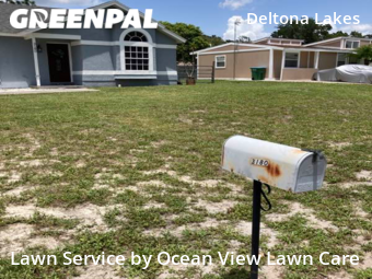 Grass Cut nearby Deltona, FL, 