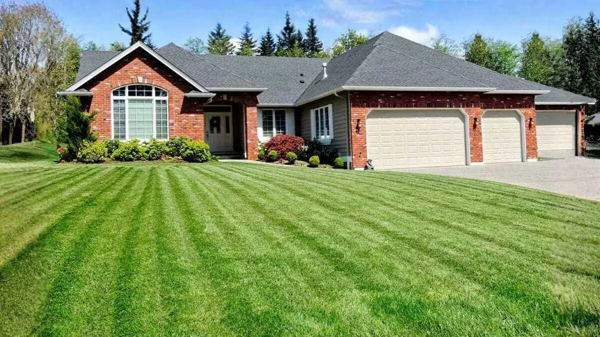 How do I find one service that can handle lawn care for all my rental properties? By Greenpal