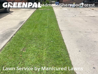 Grass Cut nearby Baton Rouge, LA, 