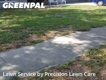 Grass Cut nearby Clearwater, FL, 