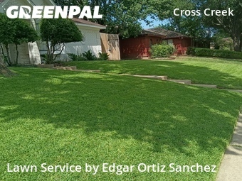 Lawn Mowing nearby Plano, TX, 