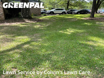 Lawn Cutting nearby Daphne, AL, 