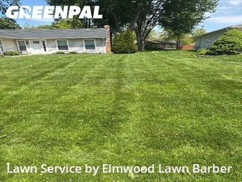 Grass Cut nearby North Ridgeville, OH, 