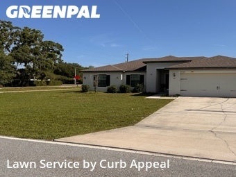 Lawn Mow nearby Brooksville, FL, 