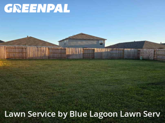 Yard Cuttingin Katy,77493,Lawn Mowing by Blue Lagoon Lawn Serv, work completed in Nov , 2025
