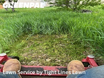 Lawn Mow nearby Idaho Falls, ID, 