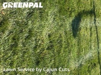 Lawn Mow nearby Murfreesboro, TN, 