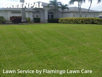 Lawn Care nearby Cape Coral, FL, 