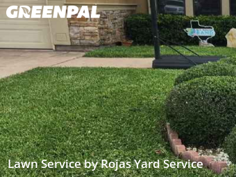 Lawn Management in Edinburg, 78539, Backyard Mowing by Rojas Yard Service, work completed in Nov , 2025