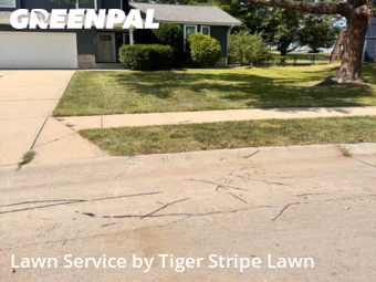 Lawn Mow nearby Papillion, NE, 