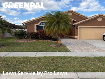 Grass Cutin Orlando,32825,Yard Mowing by Pro Lawn, work completed in Jan , 2026