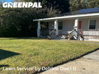 Turf Services in Portsmouth, 23702, Grass Care by Debbie Does It, work completed in Nov , 2025