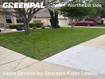 Lawn Maintenance nearby Schertz, TX, 