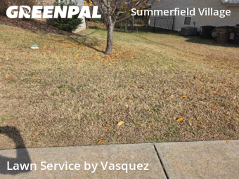 Lawn Mowing nearby Nashville, TN, 