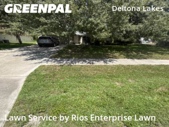 Lawn Cut nearby Deltona, FL, 