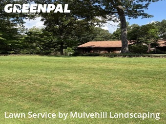 Lawn mowed in Birmingham, 35242
