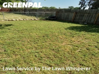 Lawn Cut nearby Elverta, CA, 