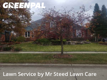 Grass Care in Farmington Hills, 48335, Turf Services by Mr Steed Lawn Care, work completed in Dec , 2025