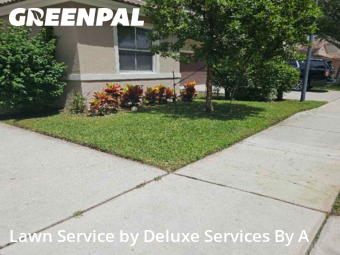 Yard Mowing in Coconut Creek, 33073, Yard Care by Deluxe Services By A, work completed in Nov , 2025
