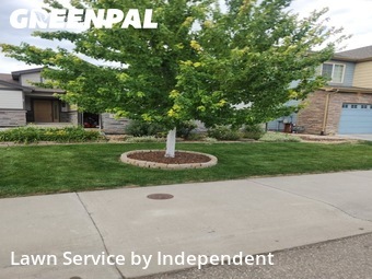 Lawn Service nearby Loveland, CO, 