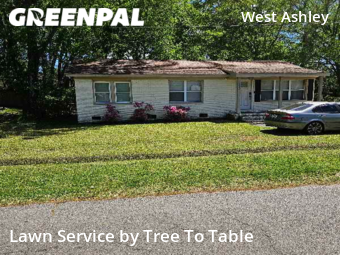 Grass Cutting nearby Charleston, SC, 