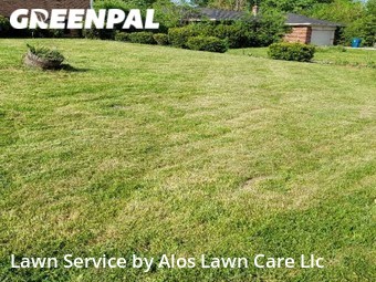 Grass Cutting nearby Indianapolis, IN, 