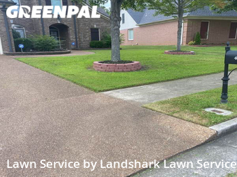 Lawn Cutting nearby Collierville, MS, 